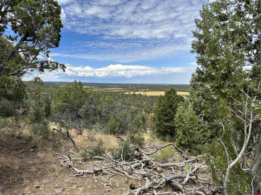 267 County Road 1e Property Photo 23