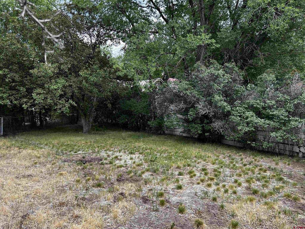 33 Morris Street Property Photo 20