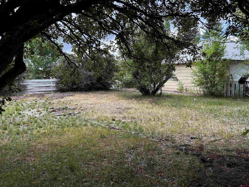 33 Morris Street Property Photo 21