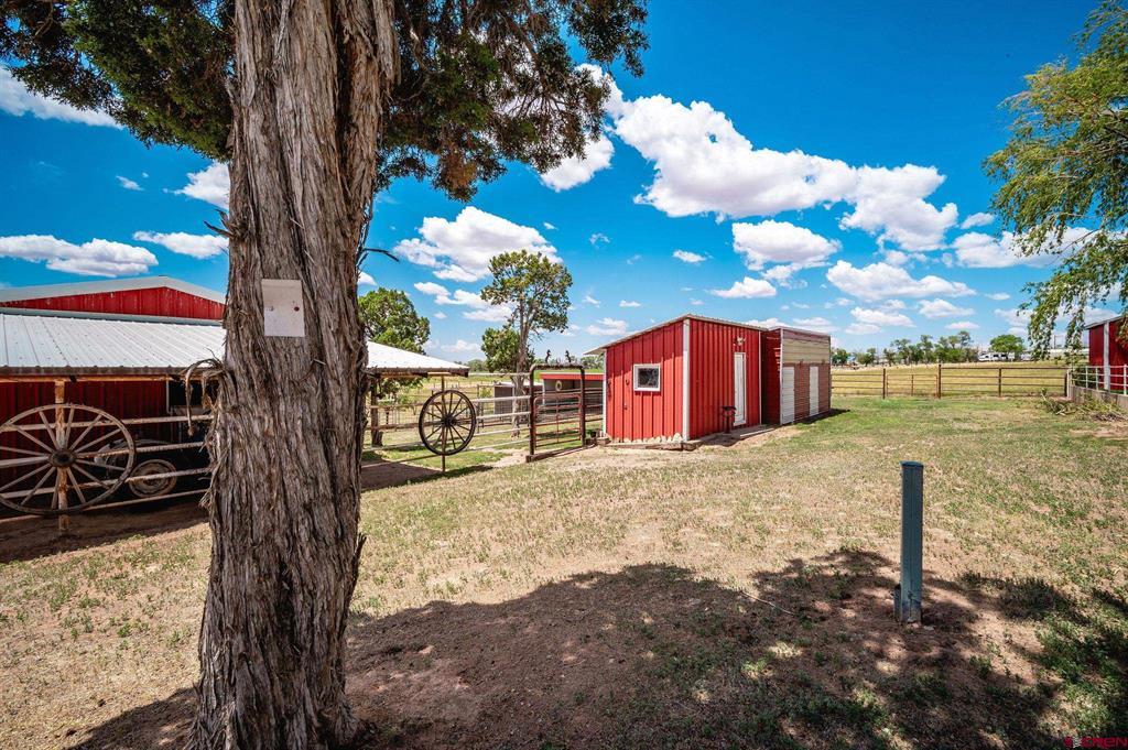 52147 Highway 491 Property Photo 16