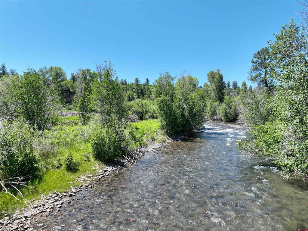 Tbd County Road 382 Property Photo 6