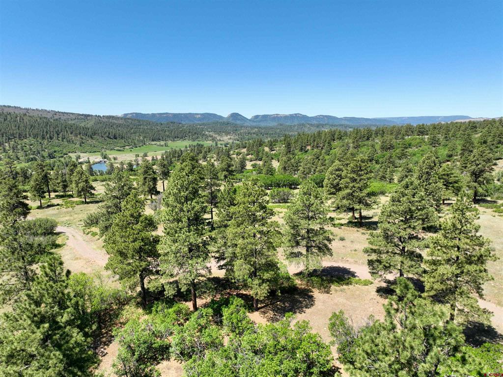 Tbd County Road 382 Property Photo 8