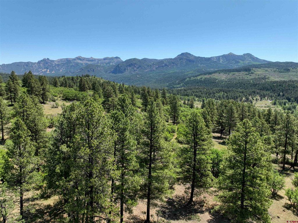 Tbd County Road 382 Property Photo 10