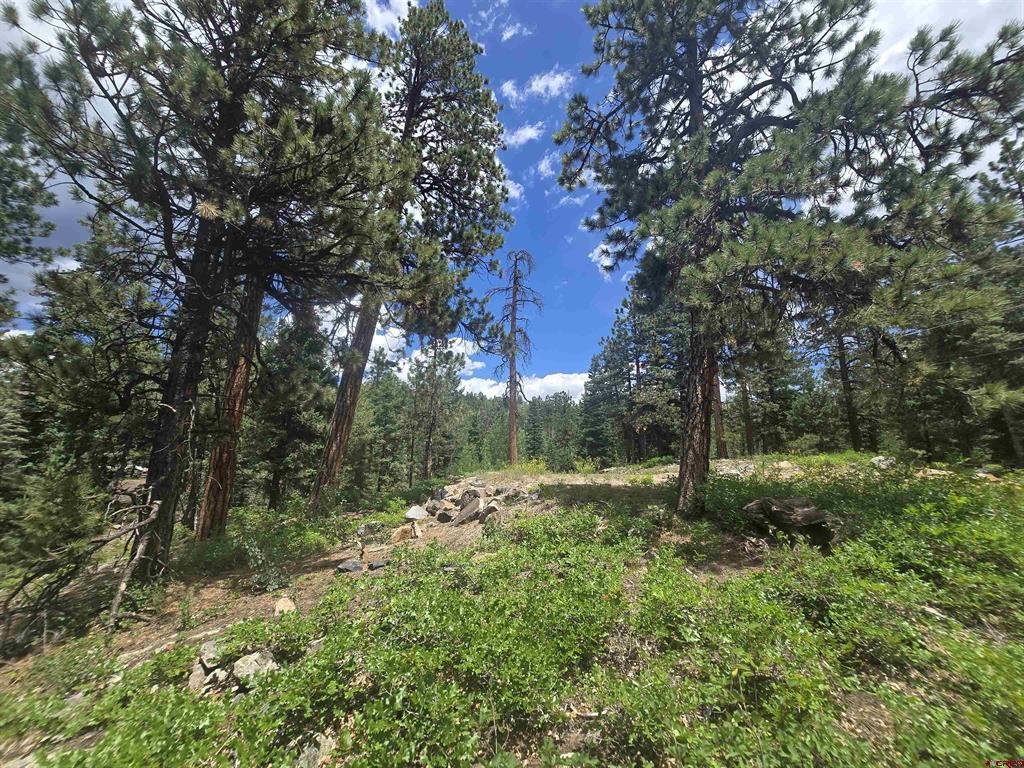 67 Big Pine Trail Property Photo 2