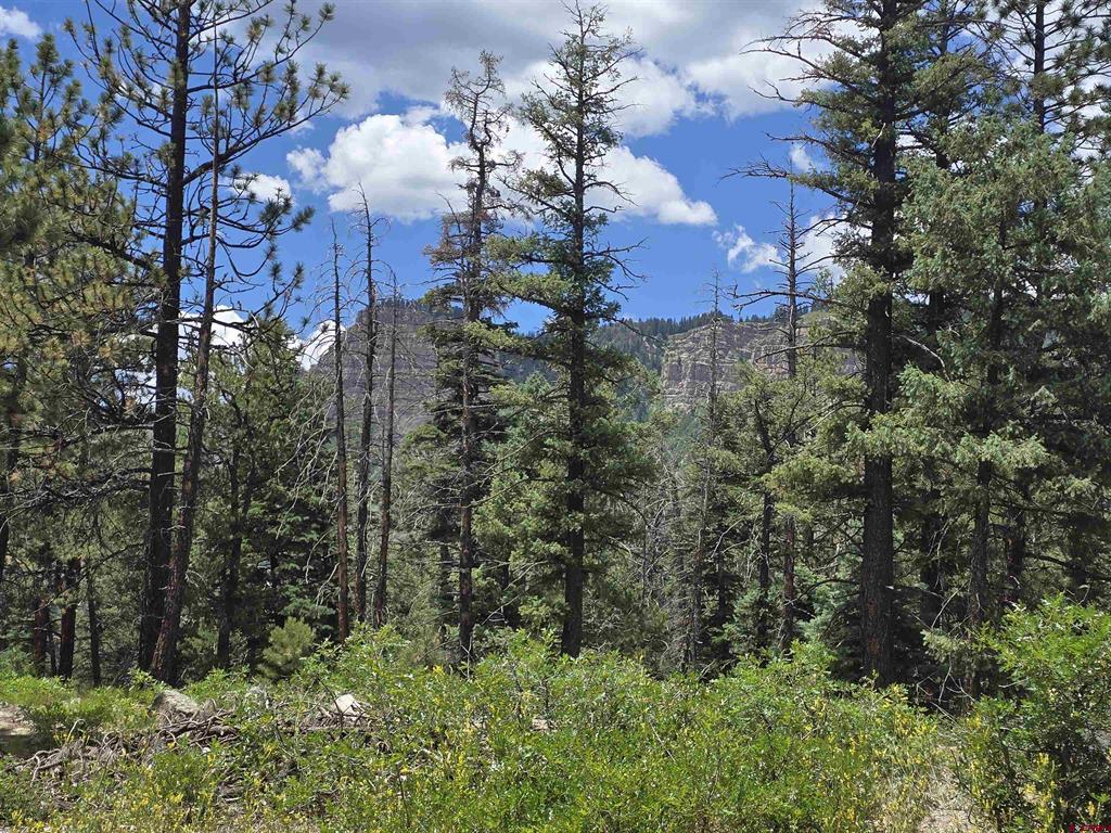 67 Big Pine Trail Property Photo 4