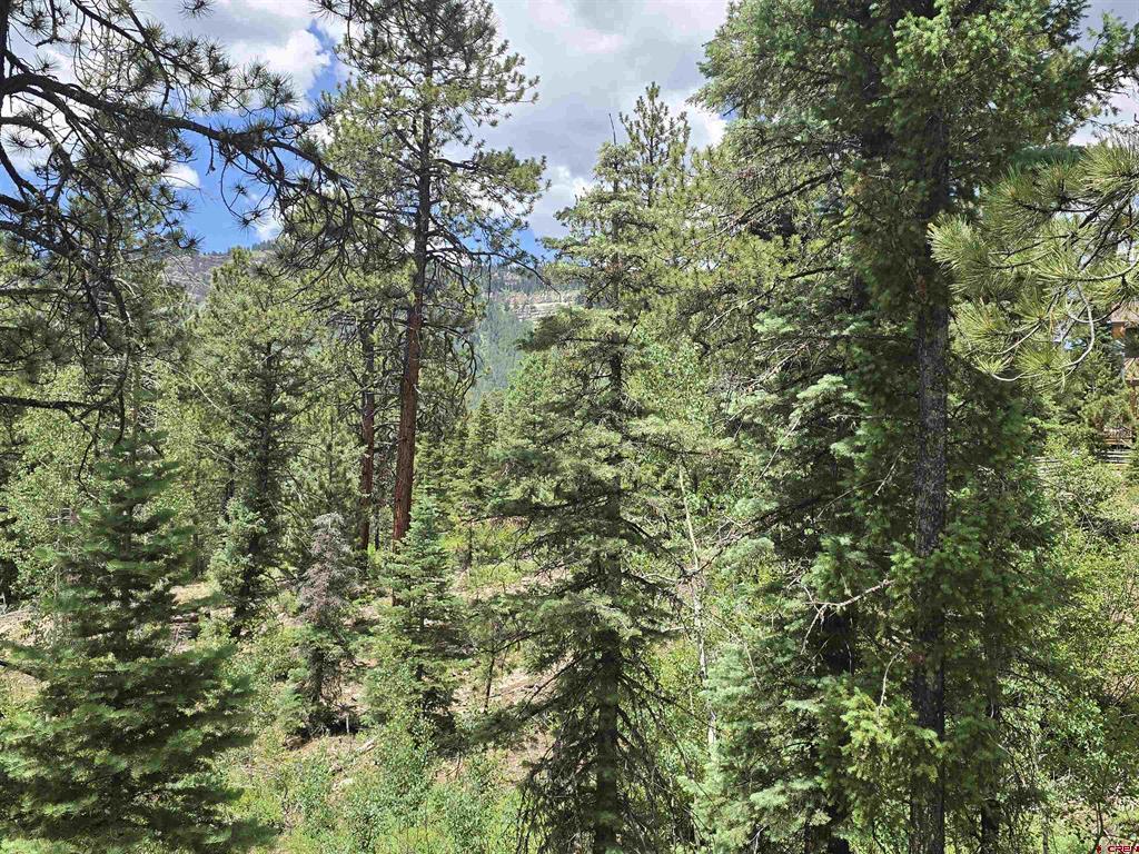 67 Big Pine Trail Property Photo 5