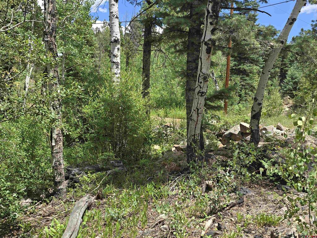 67 Big Pine Trail Property Photo 7