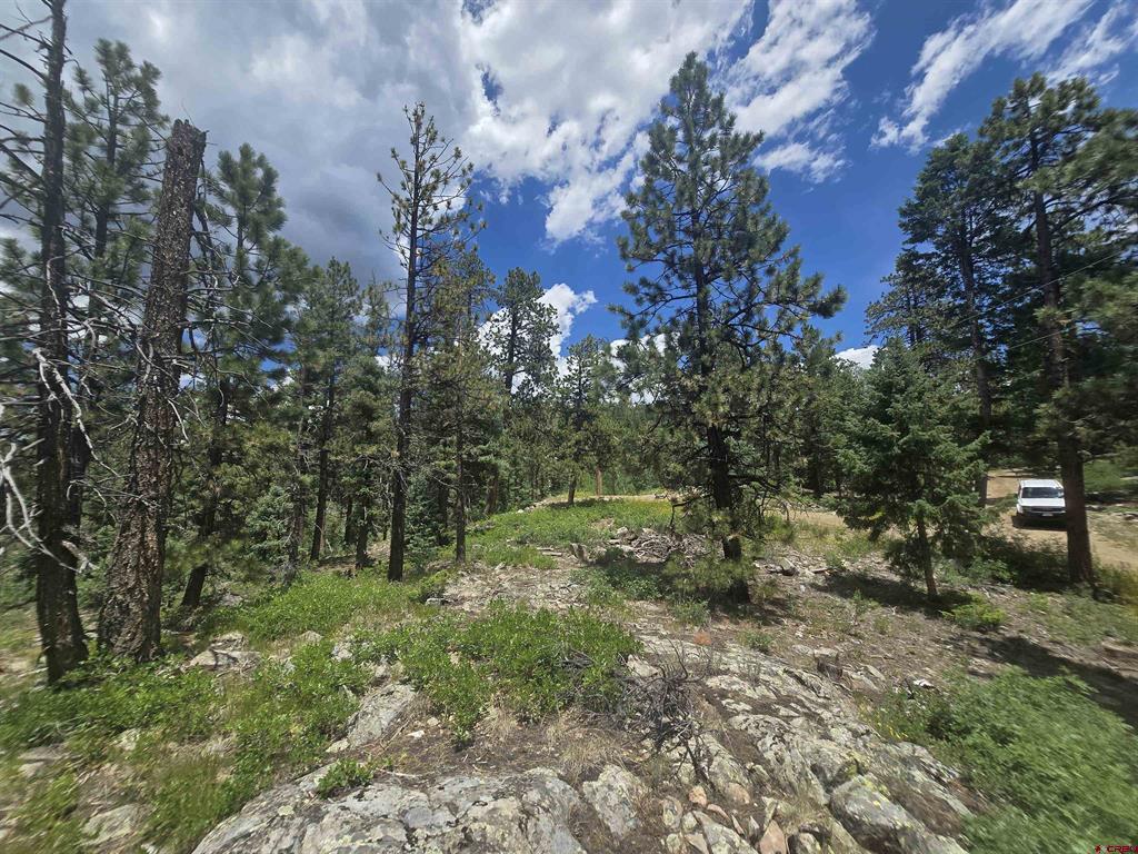 67 Big Pine Trail Property Photo 9