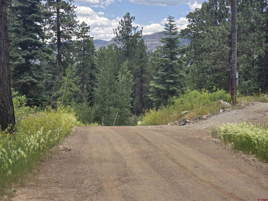 67 Big Pine Trail Property Photo 19