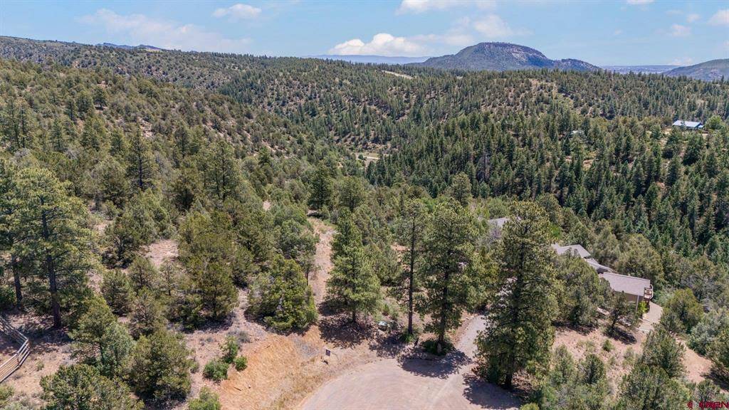285 Logging Trail Road