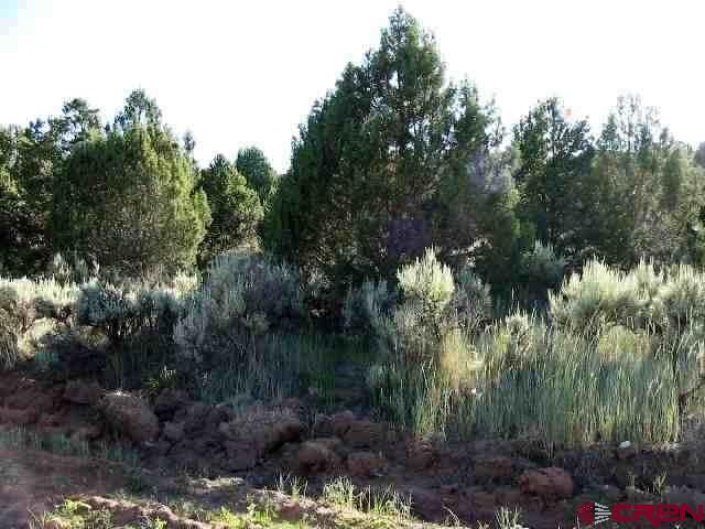#10 Juniper Drive Property Photo 1