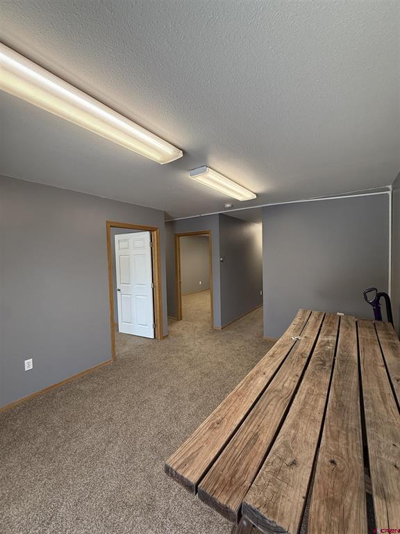 425 Kristen Court Property Photo 16