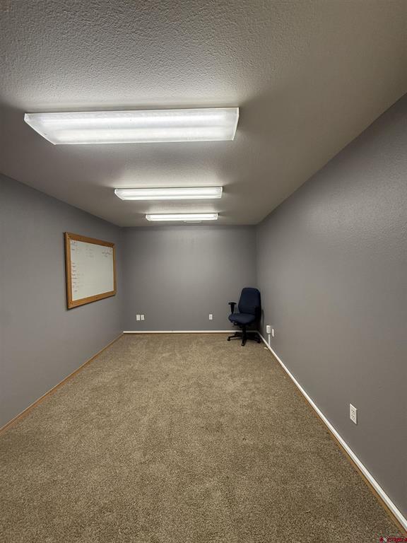 425 Kristen Court Property Photo 17