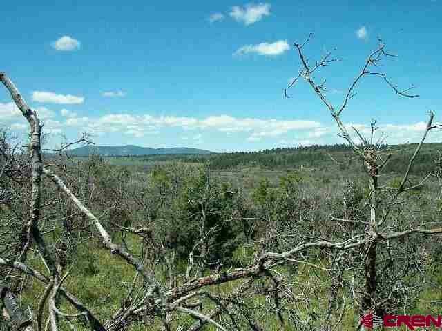 Tbd W Beaver Pines Loop Property Photo 2