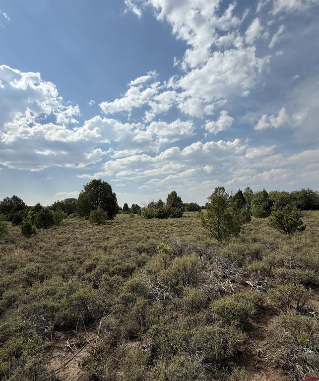 Tbd W Beaver Pines Loop Property Photo 8