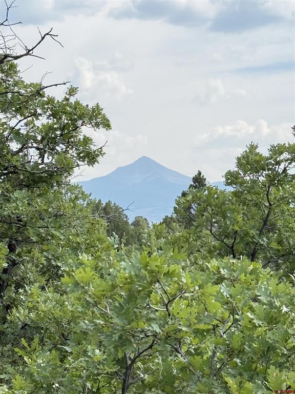 Tbd W Beaver Pines Loop Property Photo 11
