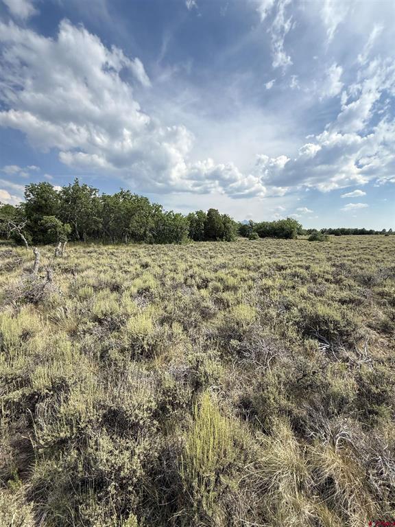 Tbd W Beaver Pines Loop Property Photo 13