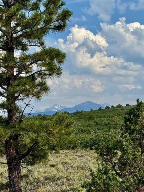Tbd W Beaver Pines Loop Property Photo 15