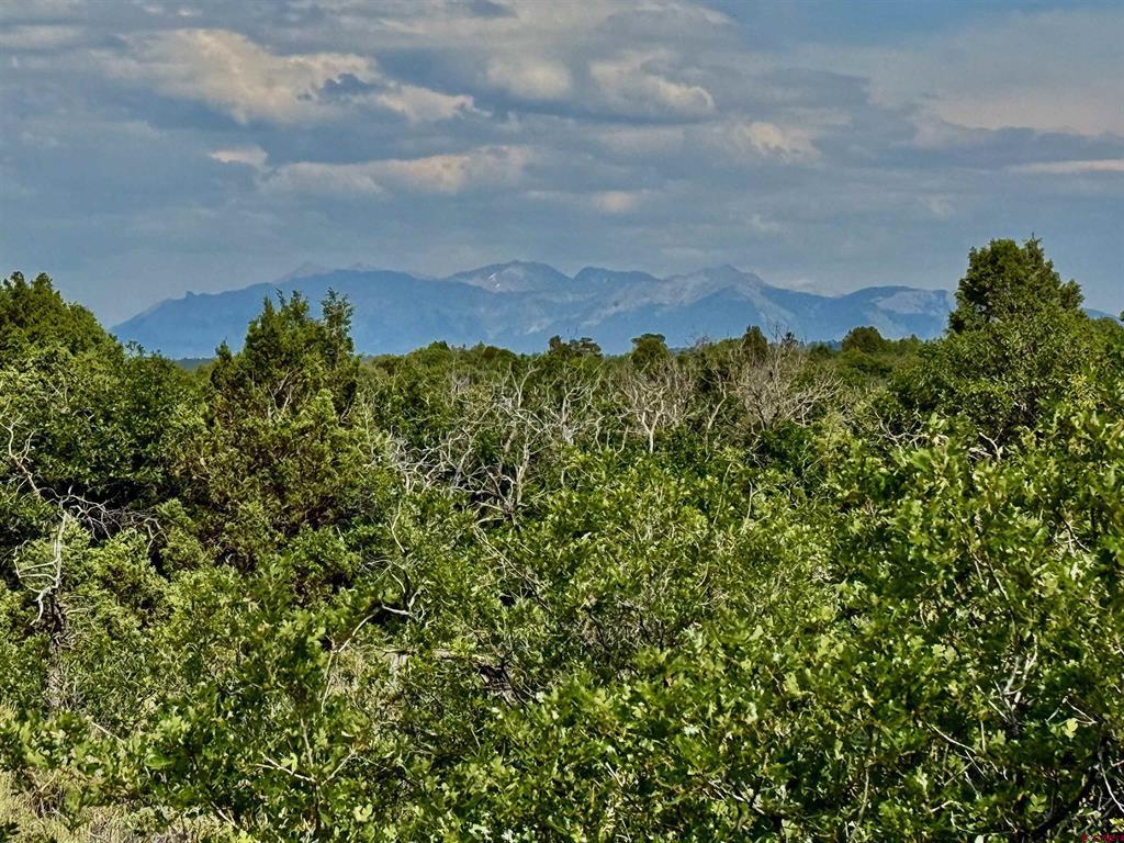 Tbd W Beaver Pines Loop Property Photo 16
