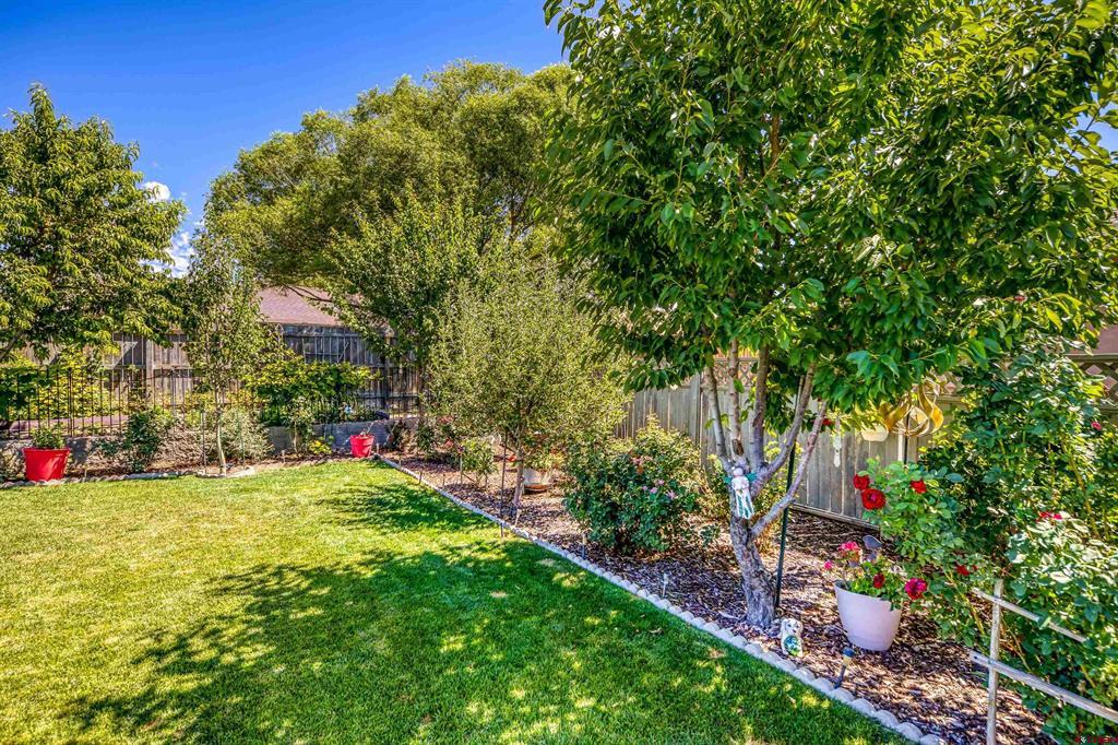 1437 Criterion Street Property Photo 41