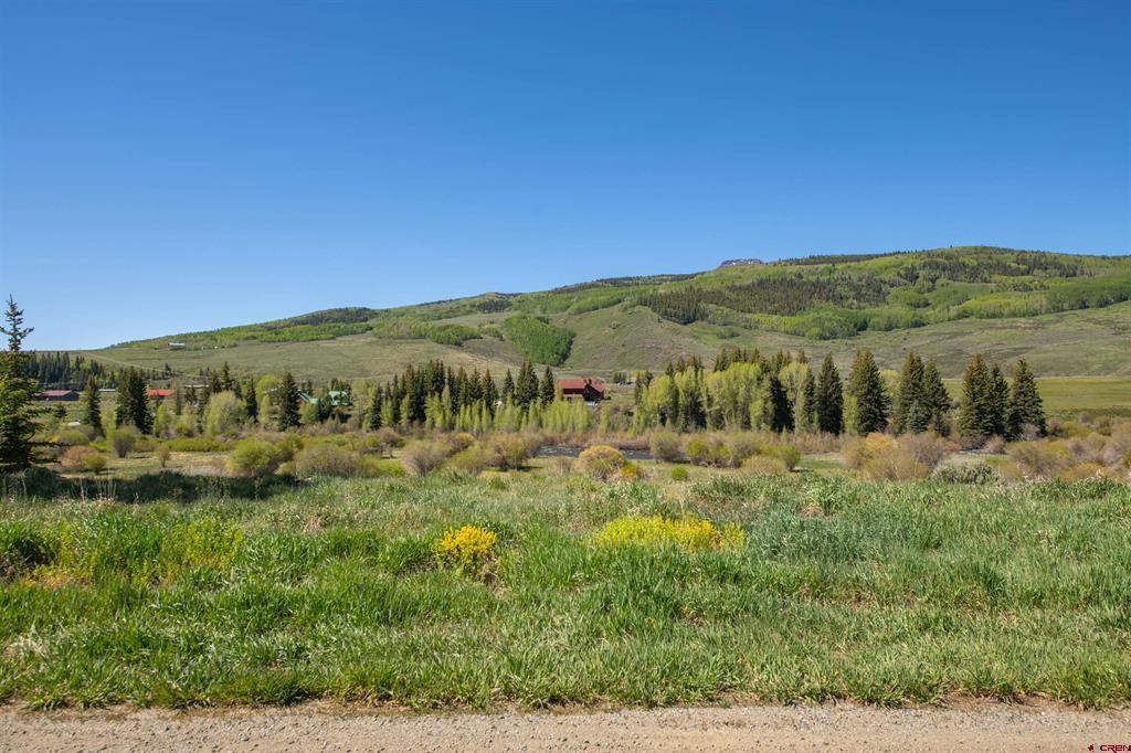 135 Cascadilla Street Property Photo 14