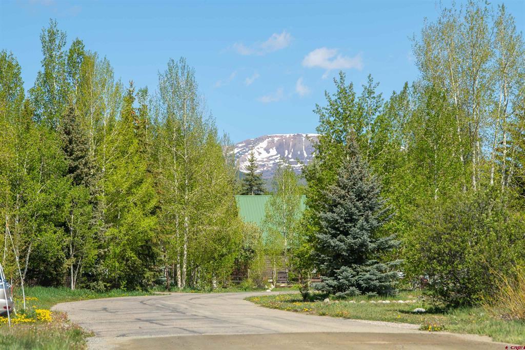 135 Cascadilla Street Property Photo 18
