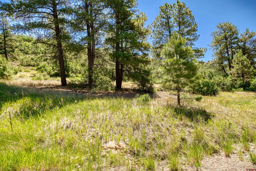 587 Santino Place Property Photo 1