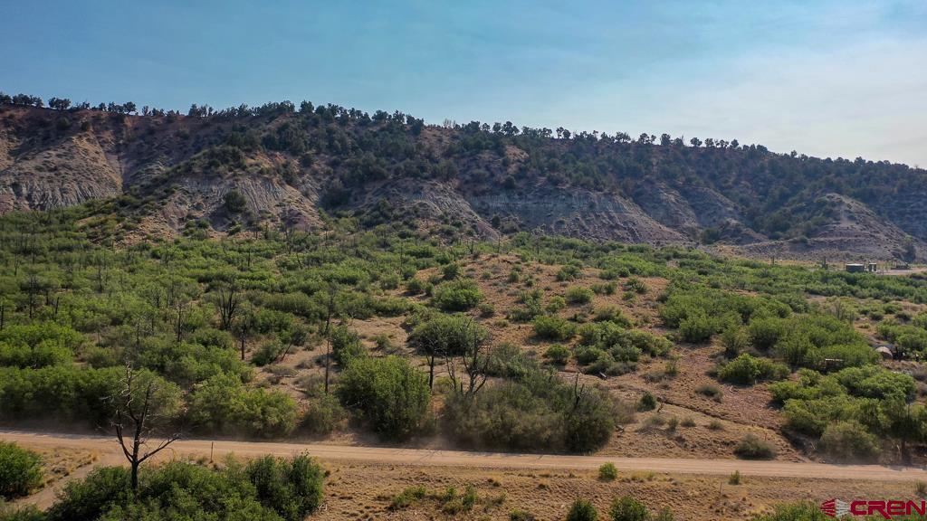 Tbd La Posta Canyon Road Property Photo 6