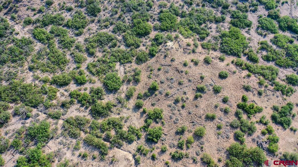 Tbd La Posta Canyon Road Property Photo 8