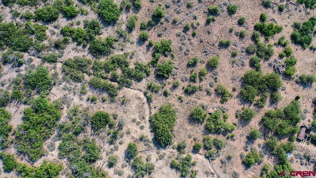 Tbd La Posta Canyon Road Property Photo 11