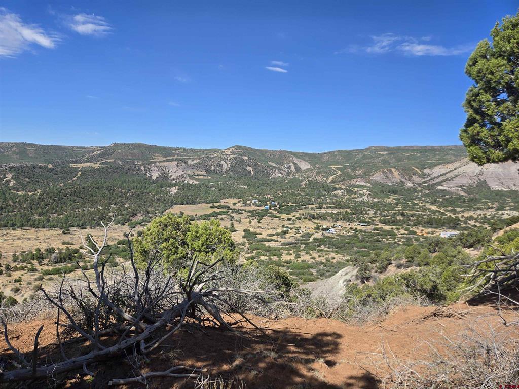 Tbd La Posta Canyon Road Property Photo 17