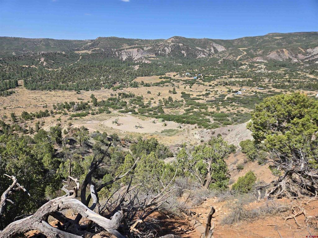 Tbd La Posta Canyon Road Property Photo 18