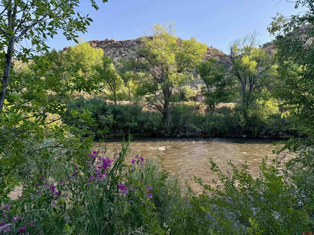 440 Park Drive Property Photo 2