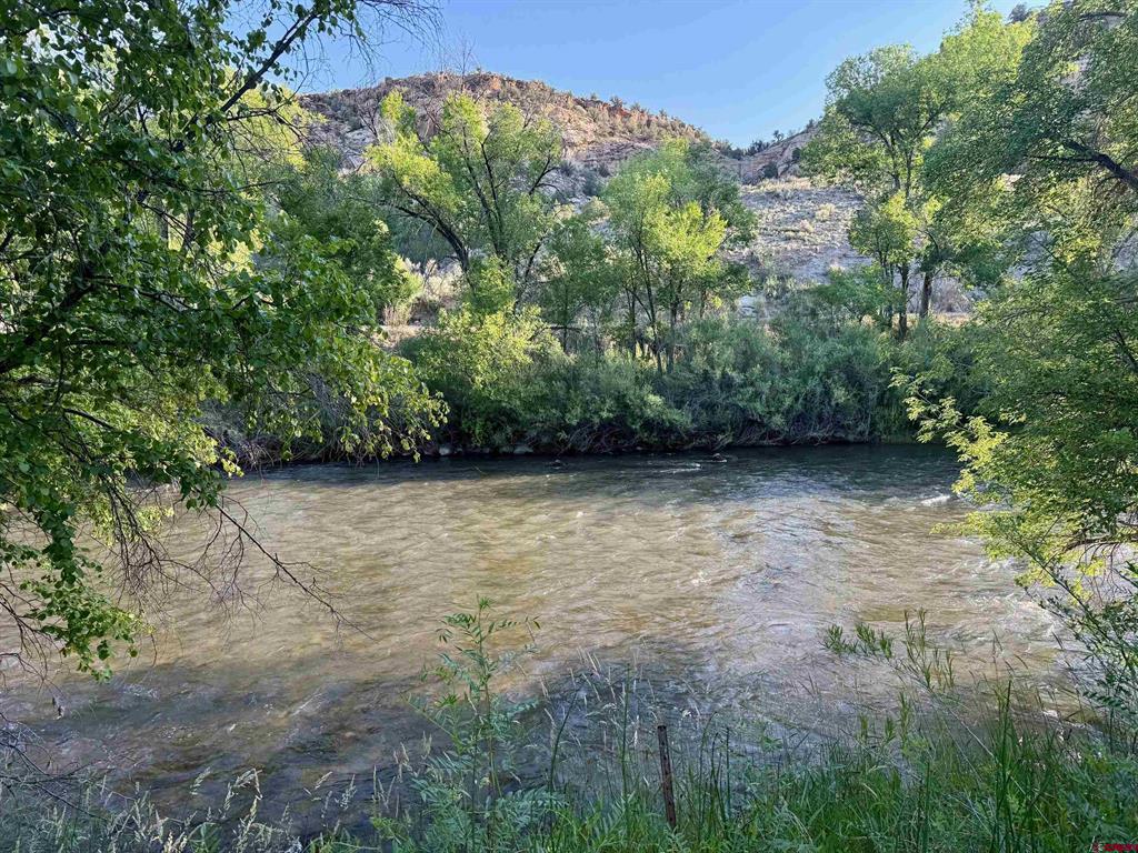 440 Park Drive Property Photo 17