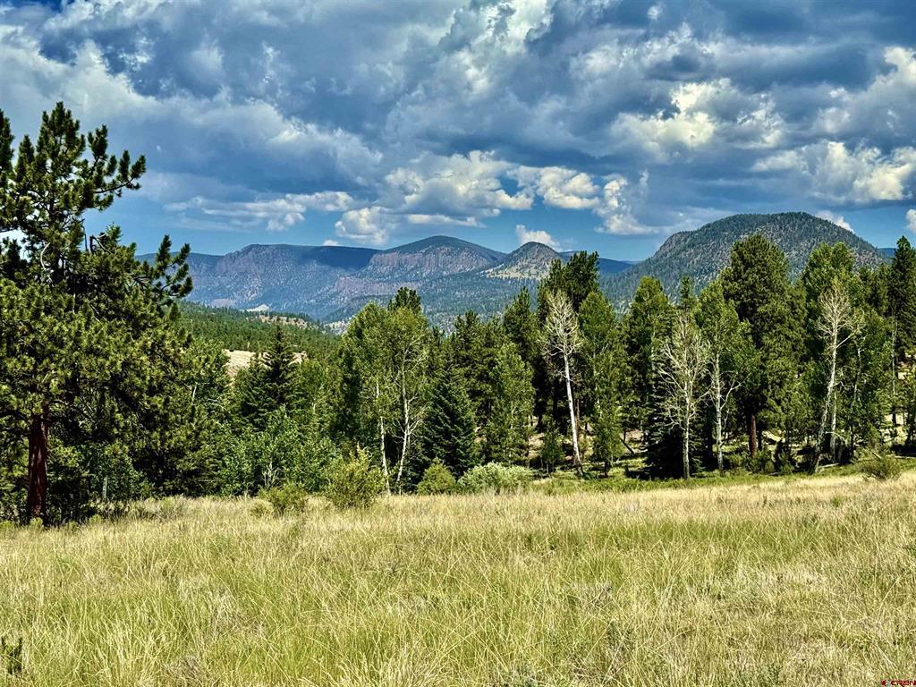 203 S Skyline Drive Property Photo 1