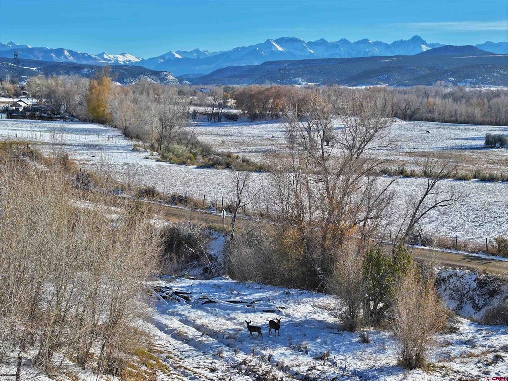 Tbd Lot 3 Uncompahgre Road Property Photo 1