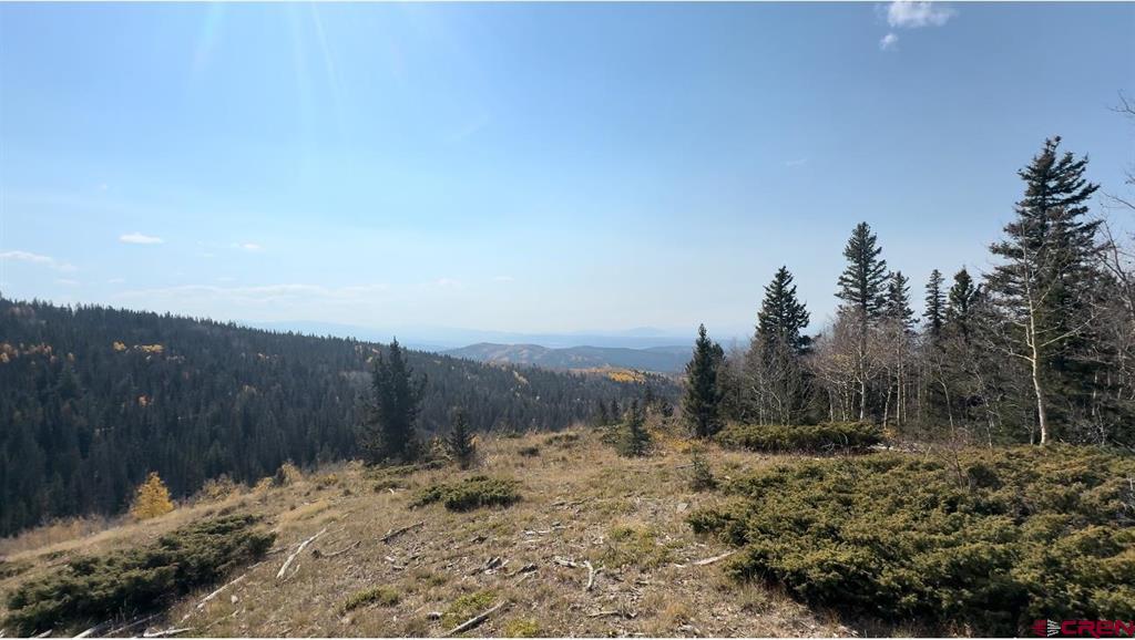 6817 Heckman Road Property Photo 1