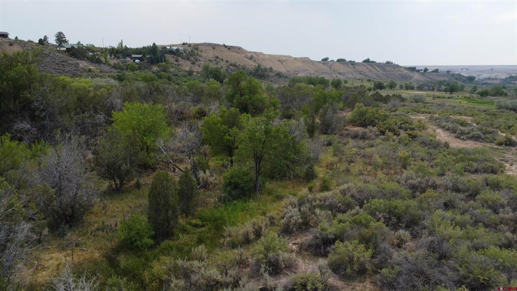 21538 Hamilton Road Property Photo 2