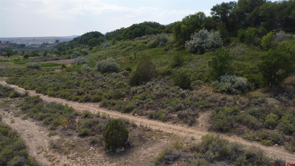 21538 Hamilton Road Property Photo 4