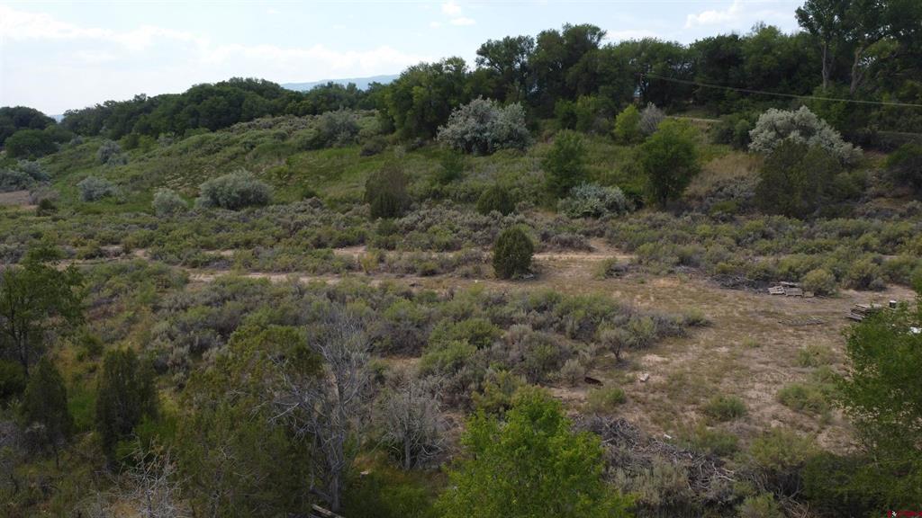 21538 Hamilton Road Property Photo 9
