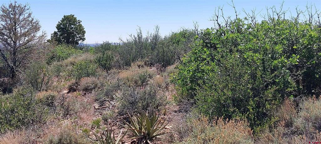 Tbd Road C Property Photo 2
