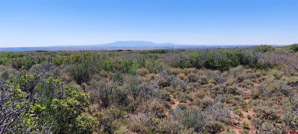 Tbd Road C Property Photo 11
