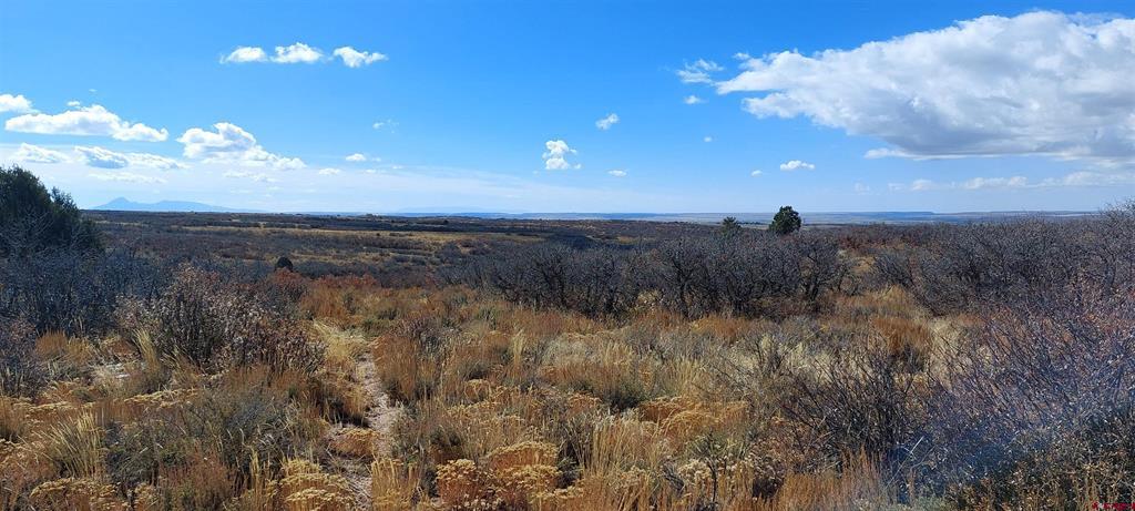 Tbd Road C Property Photo 23