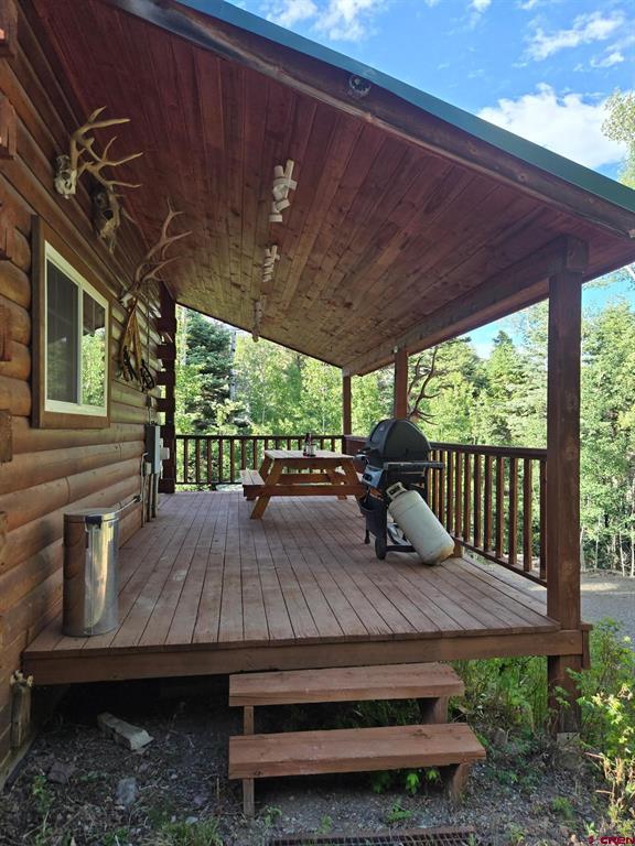 1407 Clarke Mountain Lane Property Photo 6