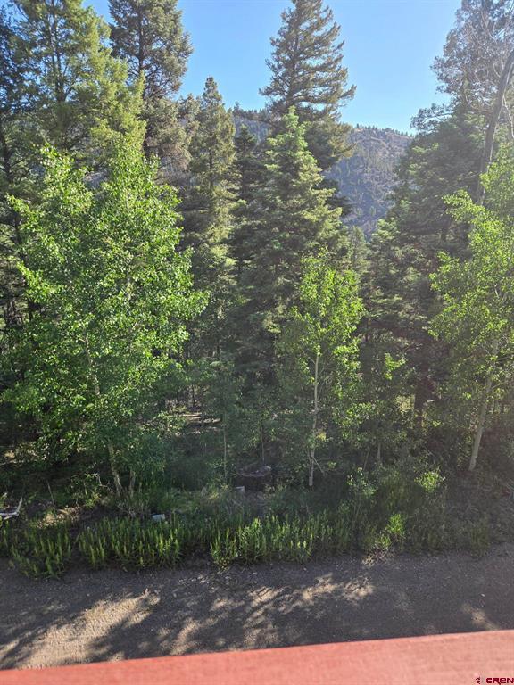 1407 Clarke Mountain Lane Property Photo 33