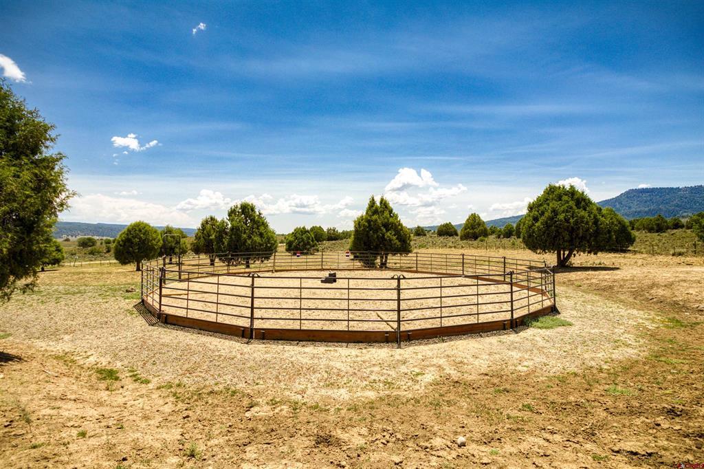 567 Tall Pine Place Property Photo 43