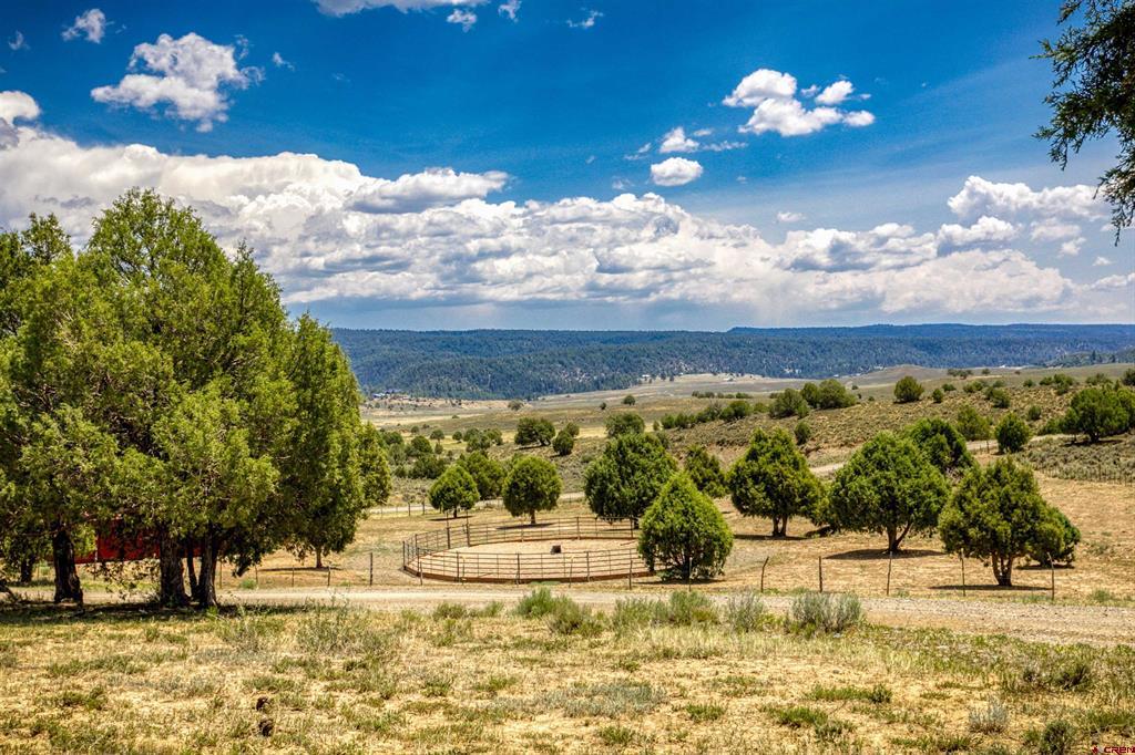 567 Tall Pine Place Property Photo 44