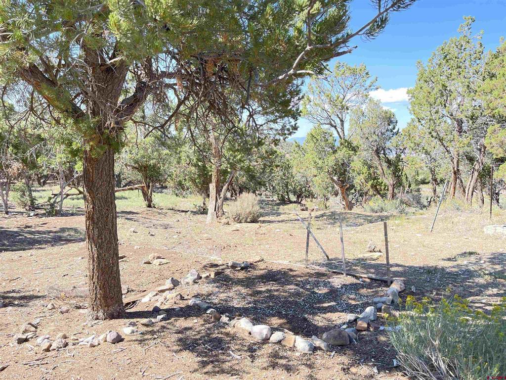 2001 Black Canyon Rd Property Photo 34