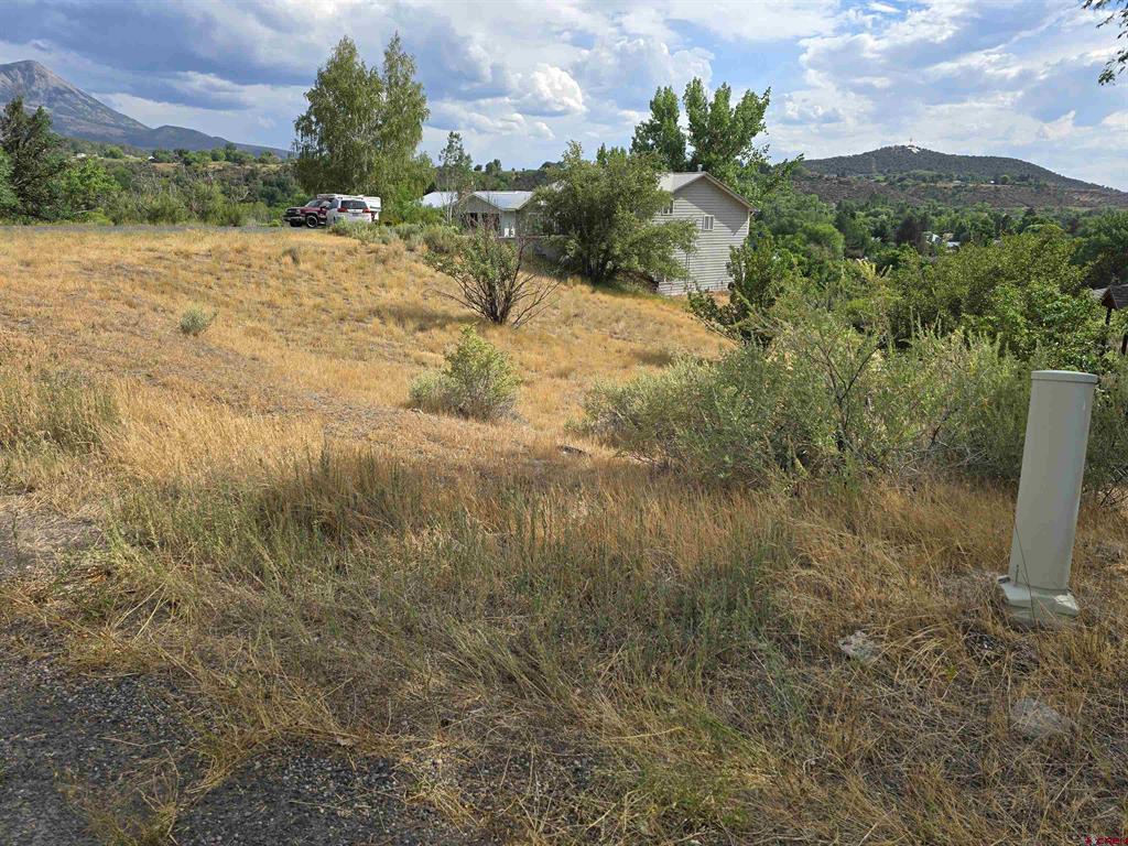 36 Box Elder Drive Property Photo 1