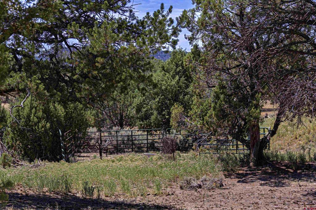 320 County Road 329 Property Photo 43